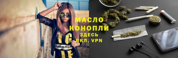 гидра Алексеевка