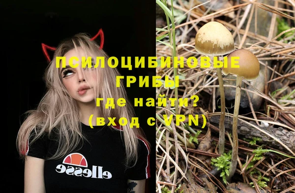гидра Алексеевка