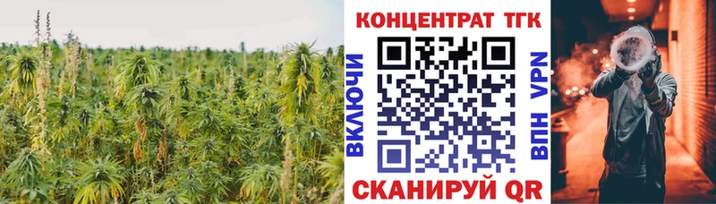 darknet состав Магадан ТГК THC oil где купить наркотик